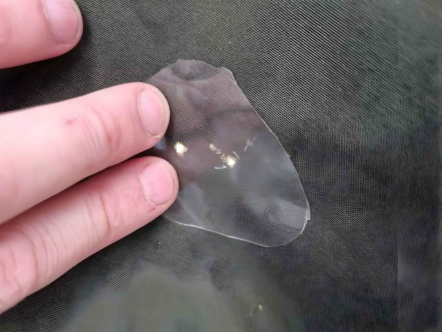 gaatje in tentdoek repareren met Tear Aid