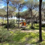 Huttopia Parque de Doñana 20 huttopia Parque de Donana 7 150x150