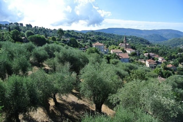 natuurcamping aan de cote d'azur, la Ferme Riola