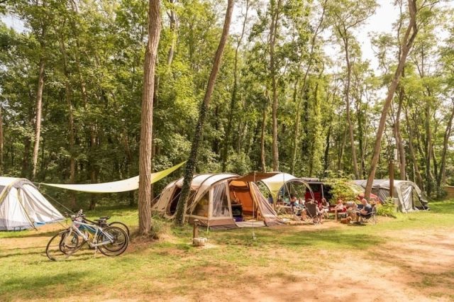 Castel Chateau de Chanteloup, natuurcamping Loire
