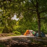 Landgoedcamping Het Meuleman 17 20220720 HetMeuleman RobBaas LR 44 150x150