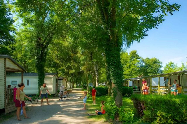 Kindercamping Elzas, le Ried
