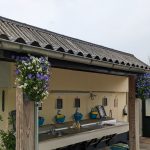 Adults only camping Felis Hoeve 16 Afwasplek 1 150x150