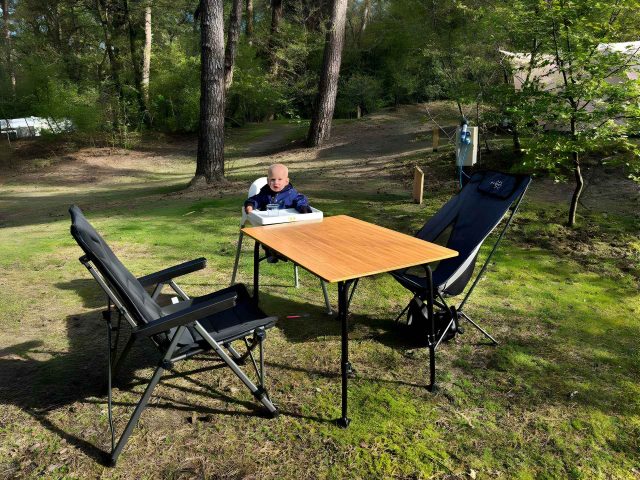 Redwood Bambusa review