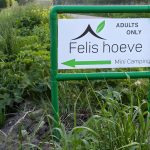Adults only camping Felis Hoeve 13 Bordje ingang camping 1 150x150