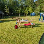 Adults only camping Felis Hoeve 17 Kampeerplek 1 150x150
