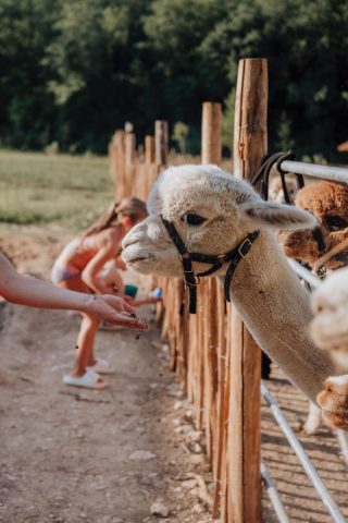 kleine camping le marche Sensazione