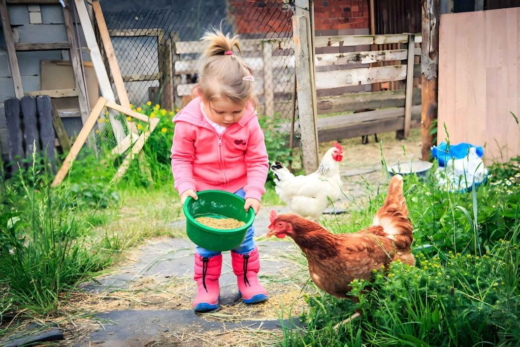 leukste boerderijcamping Nederland