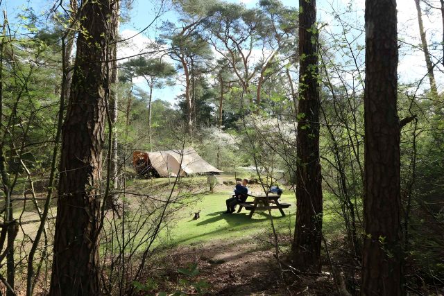 camping diever12 1