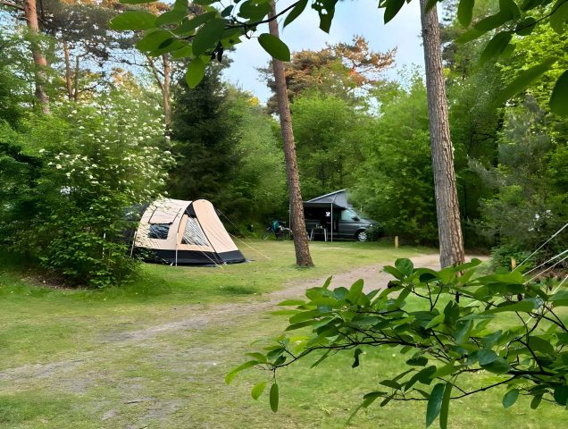 camping diever4