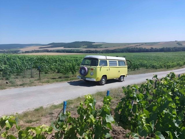 elektrische Volkswagen T2