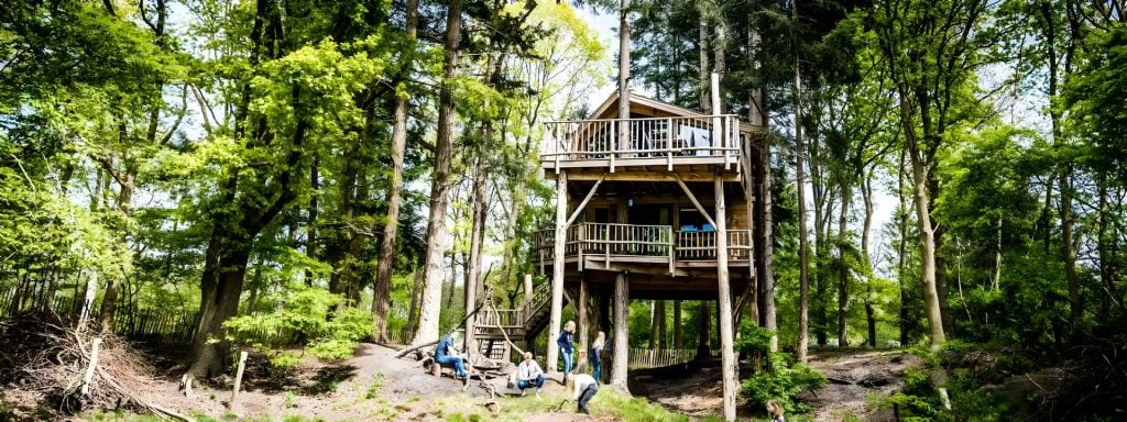 Boomhut overnachting in Nederland