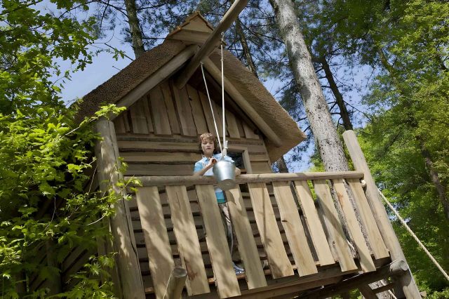 Kampeerplaats met boomhut