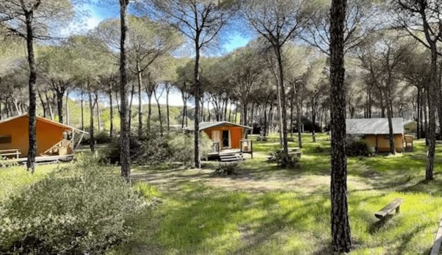 Huttopia Parque de Doñana, natuurcampings in Spanje