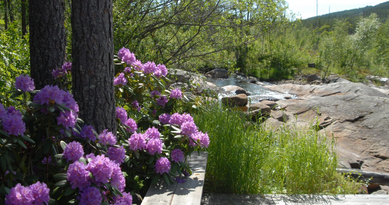 Fossumsanden Camping og Hytter 8 Fossumsanden10 1288x680