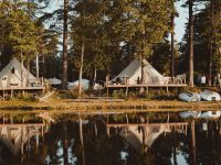 Met Nordic Woods, Wildglampen in Zuid-Zweden 16 Nordic Woods Zweden 10 200x150