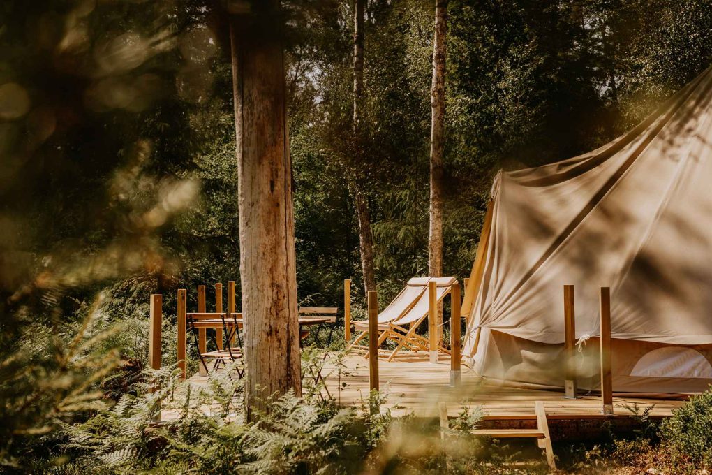 Met Nordic Woods, Wildglampen in Zuid-Zweden 13 Nordic Woods Zweden 8 1020x680