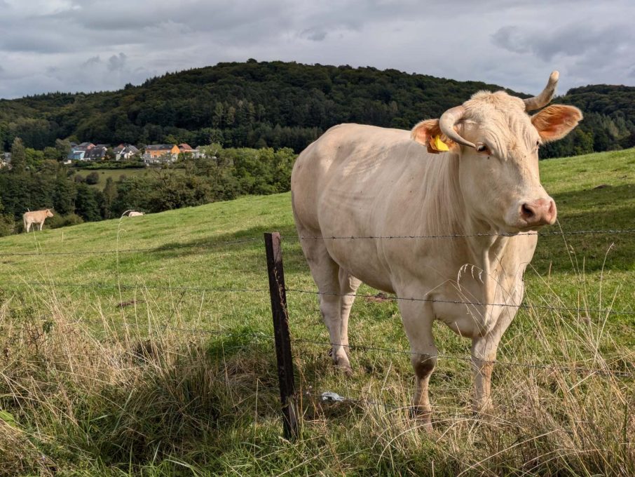 Wandelmogelijkheden 3 906x680