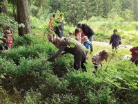 Natuurcamping Les Trexons 17 bosbessen zoeken kinderwandeling 200x150