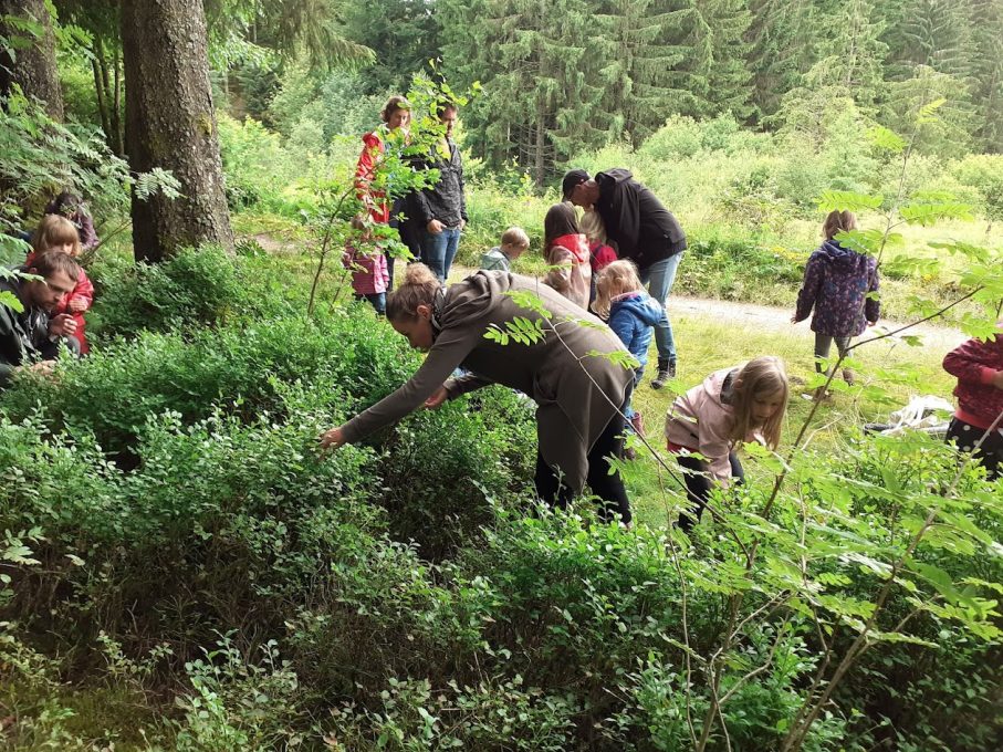 Natuurcamping Les Trexons 7 bosbessen zoeken kinderwandeling 907x680
