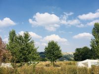 Camping Le Marche 19 natuurcamping le marche 200x150