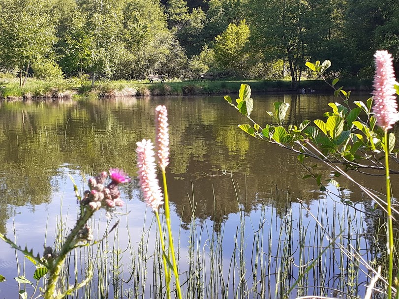 Natuurcamping Les Trexons 5 vijver