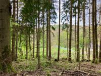 Campingplatz am Niemetal 12 bos van camping 200x150