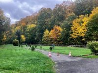 Campingplatz am Niemetal 15 herfst op camping 002 200x150