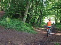 Campingplatz am Niemetal 16 lind op fiets in bos 002 200x150