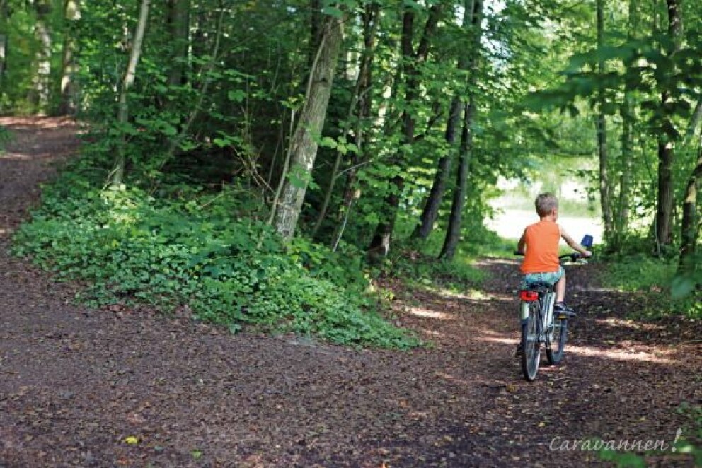 Campingplatz am Niemetal 8 lind op fiets in bos 002