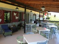 Camping Vidlák 31 Terras01 1 200x150
