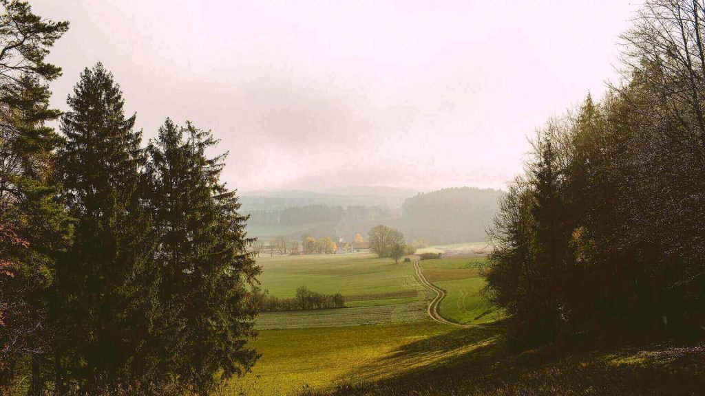 natuurcamping België
