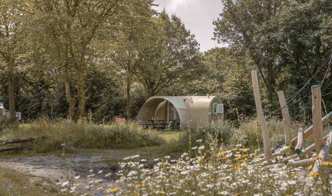 Natuurcamping De Lemeler Esch 1 Lemeler Esch natuurcamping met zwembad 1155x680