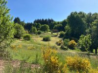 Eco-camping & Glamping Junora 29 IMG 20250517 WA0031 200x150