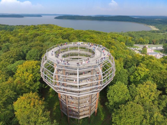 Boomkroonpad Rügen