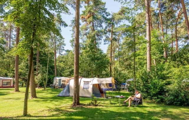 camping de jutberg in het bos