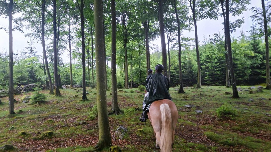 skane nationaal park