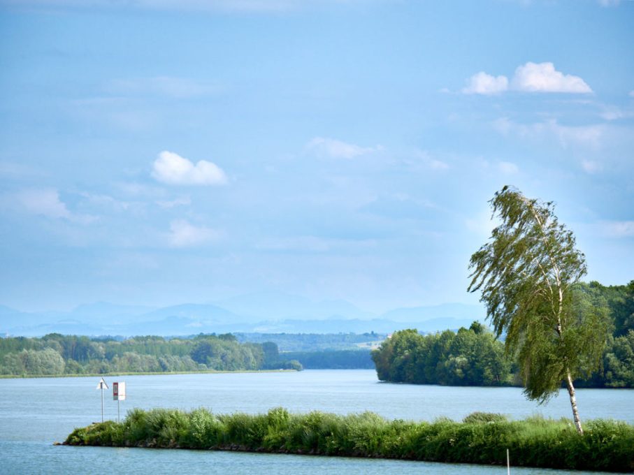 Camping Au an der Donau 8 CampingAuLandschaft18 WGDDonauOberosterreichTourismusGmbHPeterPodpera 907x680