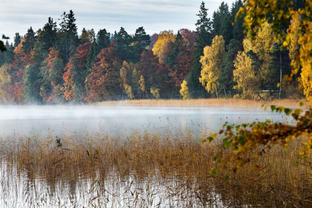 natuurcampings in Smaland in zweden in de herfst