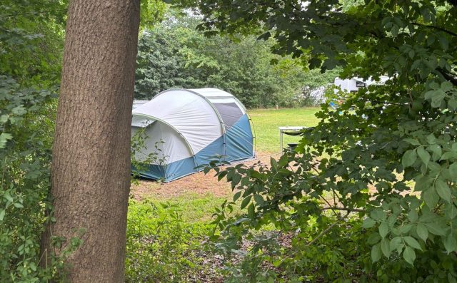 Safaritent Beekse Bergen 4