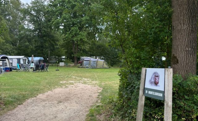 Lake Resort Beekse Bergen camping
