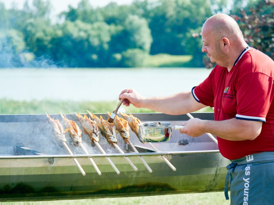 Camping Au an der Donau 7 SteckerlfischCampingAu21 WGDDonauOberosterreichTourismusGmbHPeterPodpera 907x680
