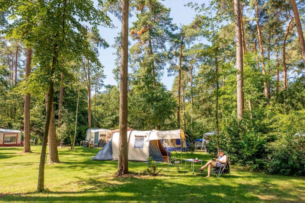 camping in het bos Nederland