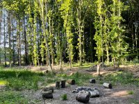 Camping Noorderloo, genieten in het groen 23 camping noorderloo 11 200x150