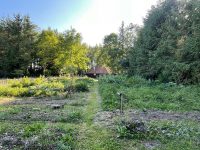 Camping Noorderloo, genieten in het groen 28 camping noorderloo 16 200x150