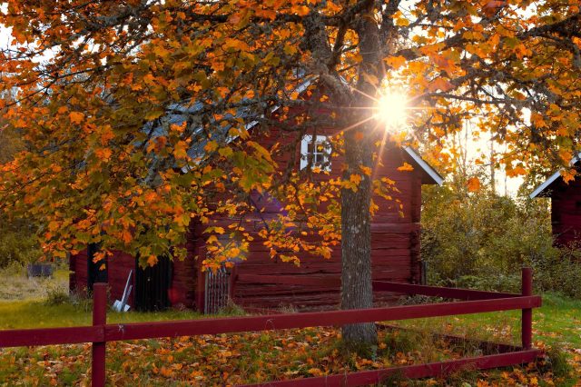 Kamperen in Smaland in zweden in de herfst
