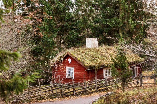 zweden kamperen herfst