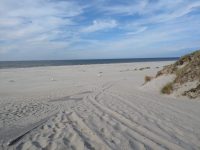 Natuurkampeerterrein Middelpôlle op Ameland 16 Strand 200x150