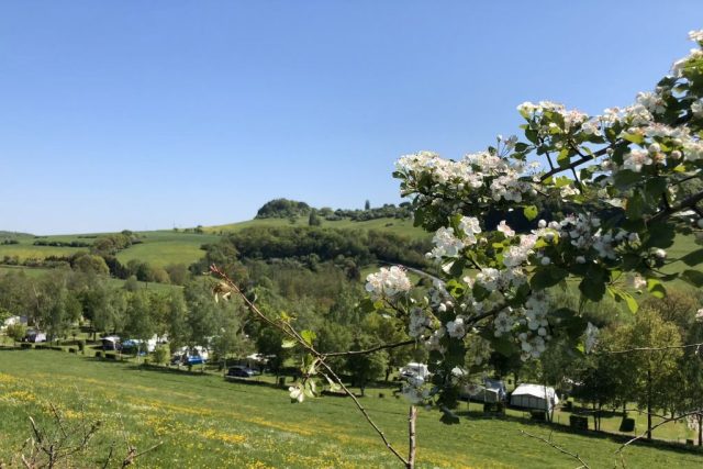 camping met zwembad in Luxemburg