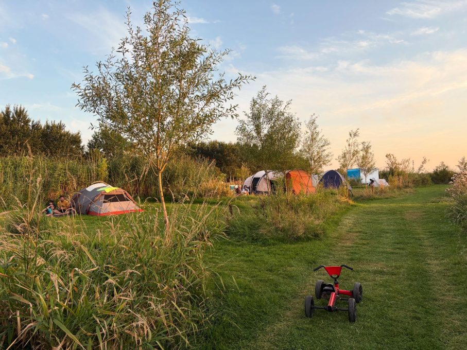 Camping Stadsboerderij De Sibbe 3 6c859763 b8b1 43d2 86be 501d29348e27 907x680